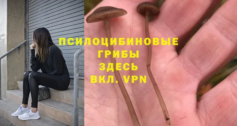 Галлюциногенные грибы MAGIC MUSHROOMS  Алапаевск 